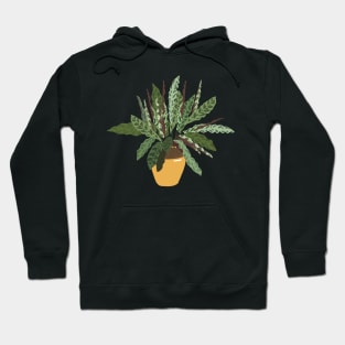 Snake plant Hoodie